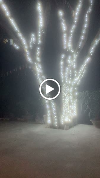 Hình ảnh Nhà Hàng Anh thư restaurant & coffee - 4