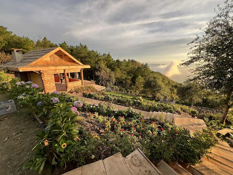 Hình ảnh Tiệm Cà Phê Hoàng Hôn - 2