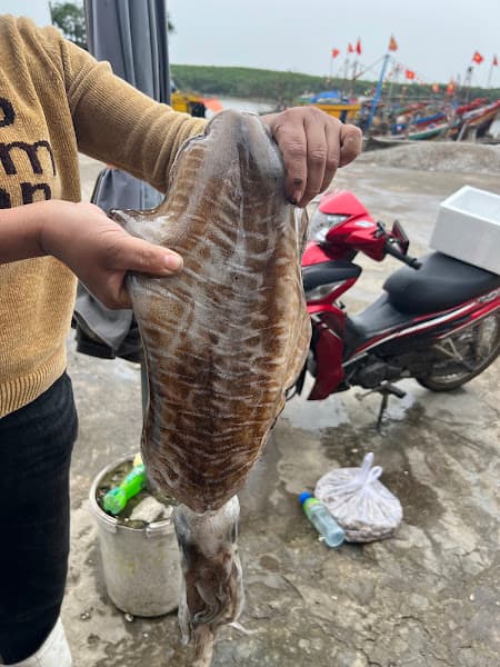 Hình ảnh HẢI SẢN TRUYỀN BOOM - 2