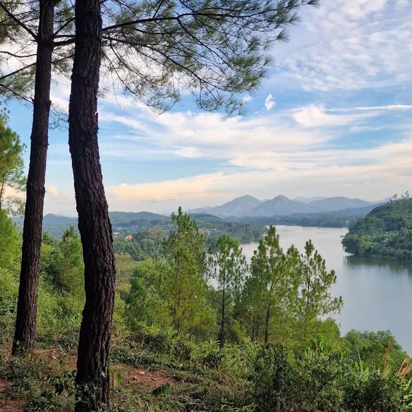 Hình ảnh The Hill (Bunker) - 5