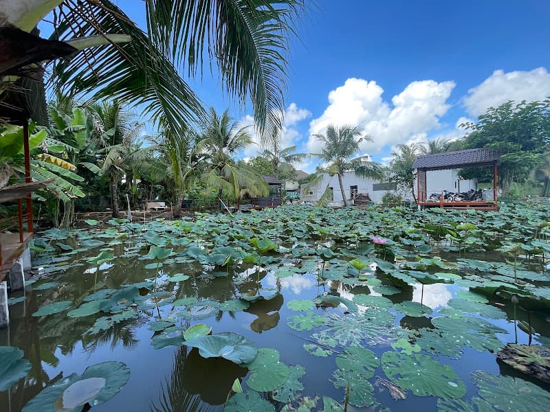 Hình ảnh Ngoại Ô Food And Beer - 4