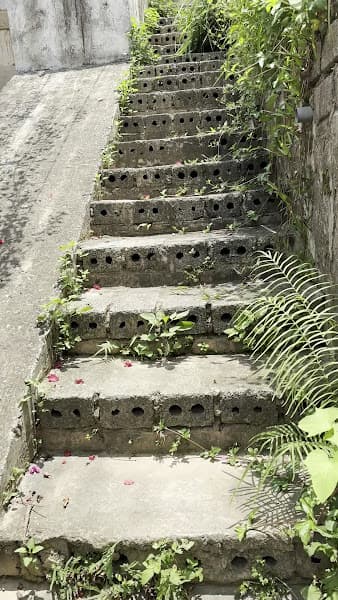 Hình ảnh Du Lịch Phố Hiến - 5