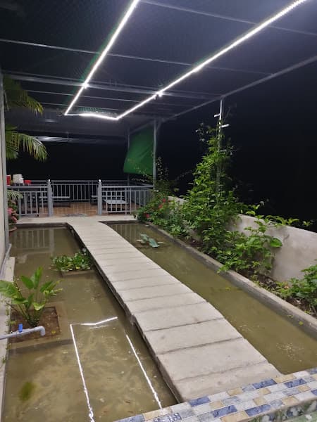 Hình ảnh High Coffee - 2