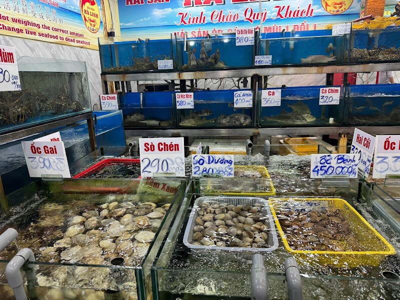Hình ảnh Nhà Hàng Hà Linh - 4