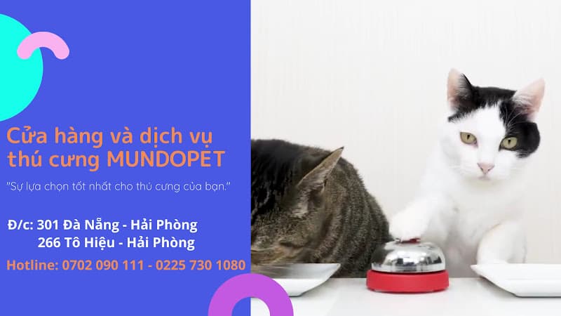 Hình ảnh MundoPet 266TôHiệu - 4