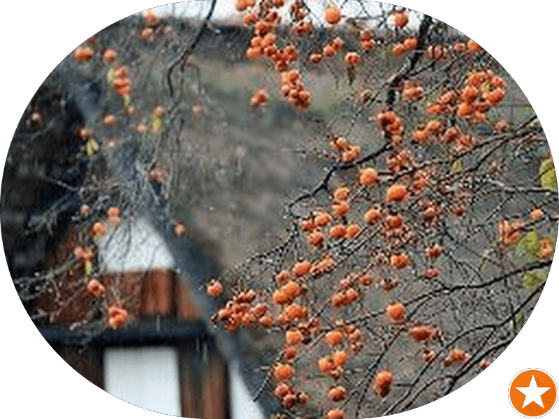 Ảnh bìa Karaoke 777