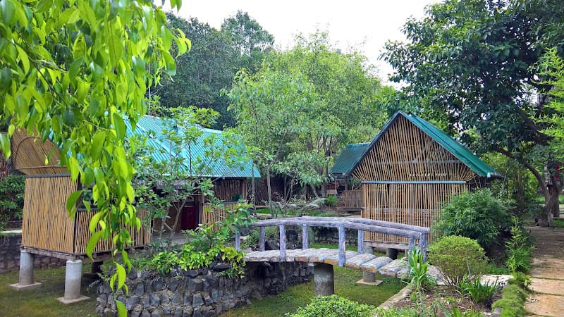 Hình ảnh Gà Nướng Ia Gui - 3