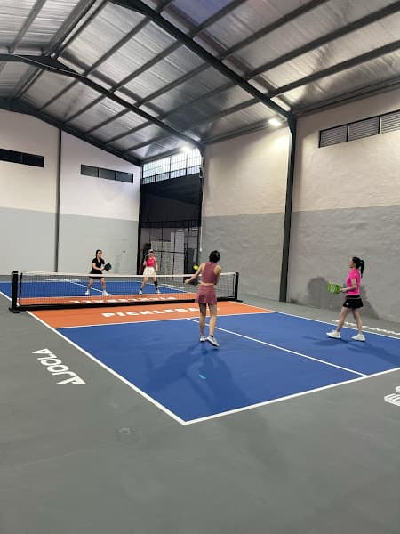 Ảnh bìa Câu lạc bộ pickleball Việt Sport