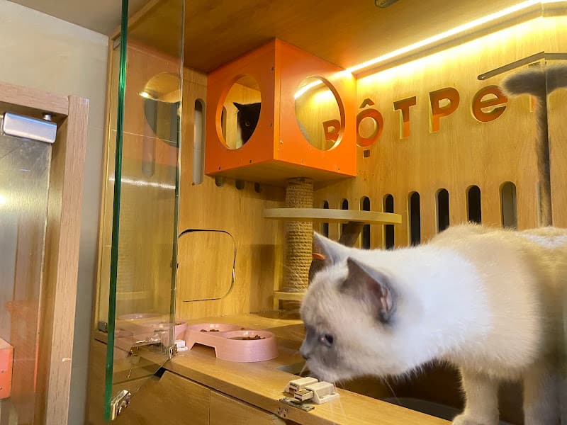 Hình ảnh Bột Pet - Khách sạn lưu trú và spa chó mèo - 5