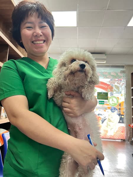 Hình ảnh Bệnh Viện Thú Y PetHealth Hải Phòng - 8