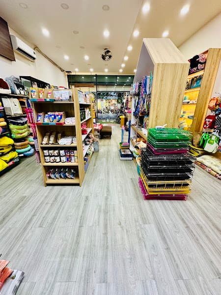 Shop Thú Cưng Bến Tre NN Pet Paradise