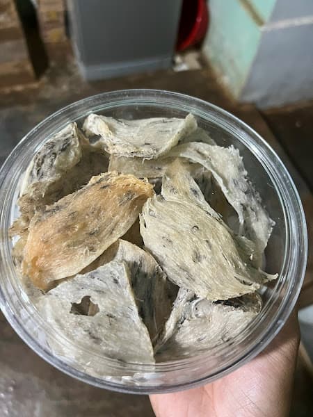 Hình ảnh Nhà Yến Lâm Đồng - 2