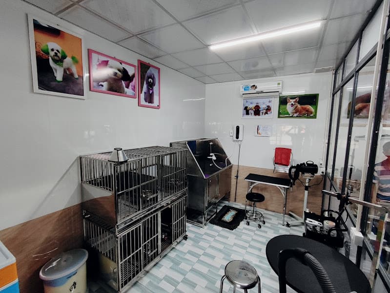 Hình ảnh Phòng Khám Thú Y Xuân Thạnh - 4