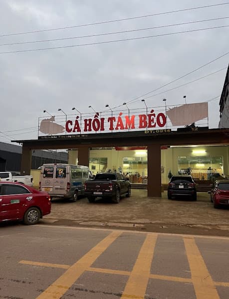 Ảnh bìa Nhà Hàng Cá Hồi Tám Béo