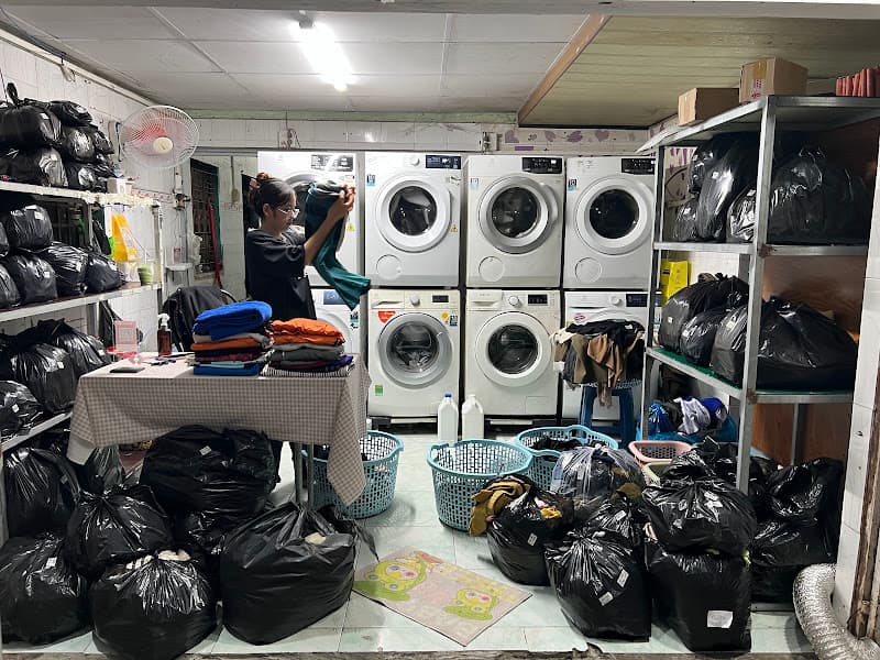 GIẶT SẤY 66 HẺM 132 ĐƯỜNG 3 THÁNG 2| 66 LAUNDRY | Dịch vụ giặt sấy quần áo, chăn màn rèm| Vệ sinh Giày| Vệ sinh gấu bông