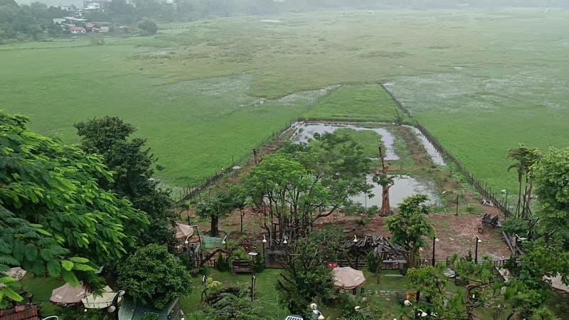 Hình ảnh Bình Minh Ơi Coffee - 6