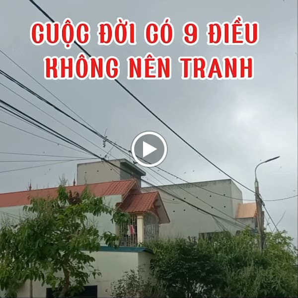 Hình ảnh Yến Sào Đại Nam - 2