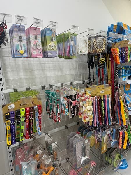 Hình ảnh Phòng khám Thú Y - VET Care Pet - Spa cắt tỉa & hotel chó mèo - 2