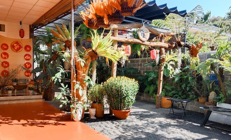 Ảnh bìa Karaoke Cao Nguyên