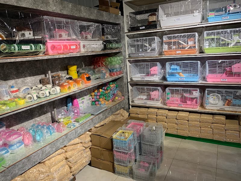HAMSTER PET STORE