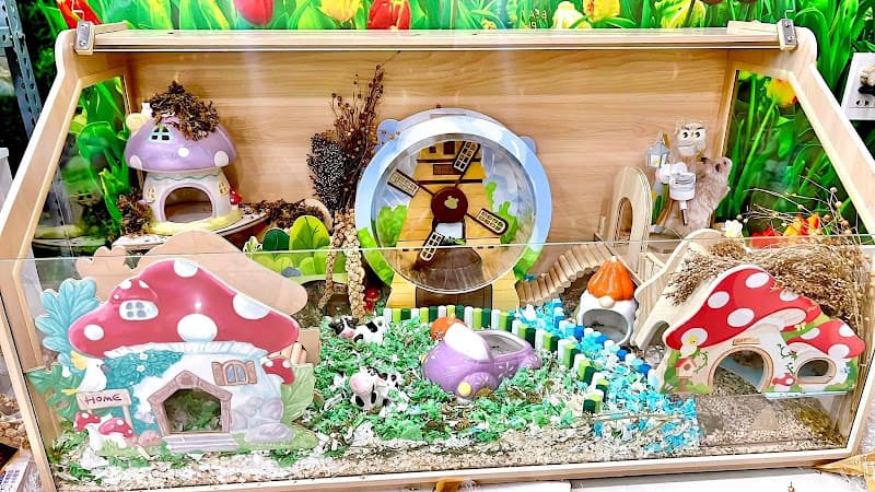 Hình ảnh Home Pet's - Chuột Hamster Hải Phòng - 10