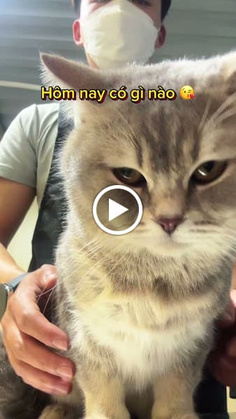 Hình ảnh PINE PET STORE - dịch vụ thú cưng Đà Lạt - 3