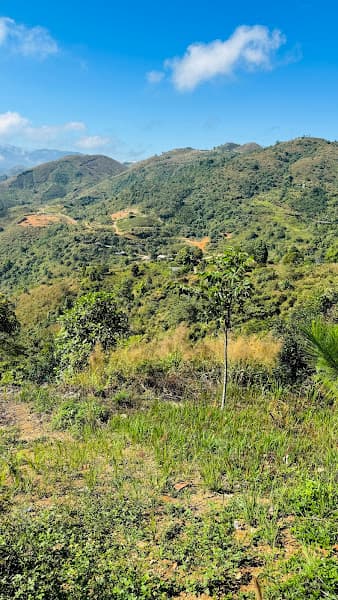 Hình ảnh Mây Coffee House - 3