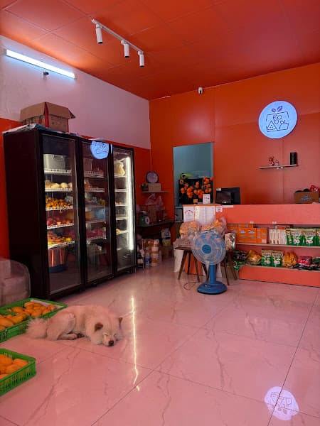 Hình ảnh Cửa hàng trái cây đóng hộp 다낭청과 bana_nana - 2