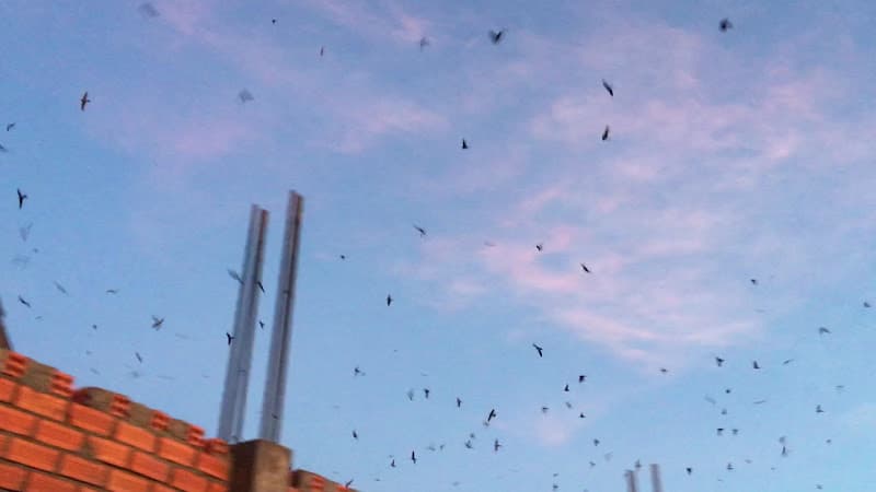 Hình ảnh Cửa hàng kỹ thuật nhà yến Xuân Quyền - 5