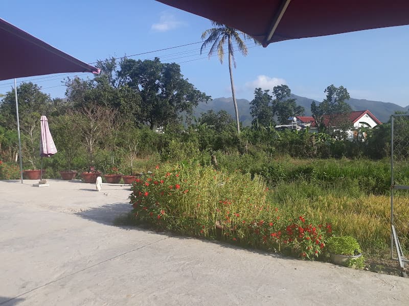 Hình ảnh Cafe Sol Vàng - 5