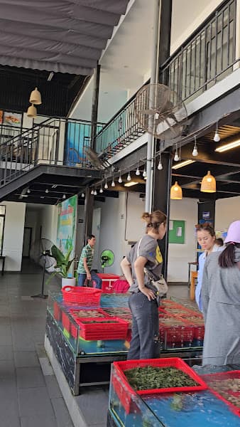 Hình ảnh Nhà hàng CAMEL (Bạch Tuộc) - 4