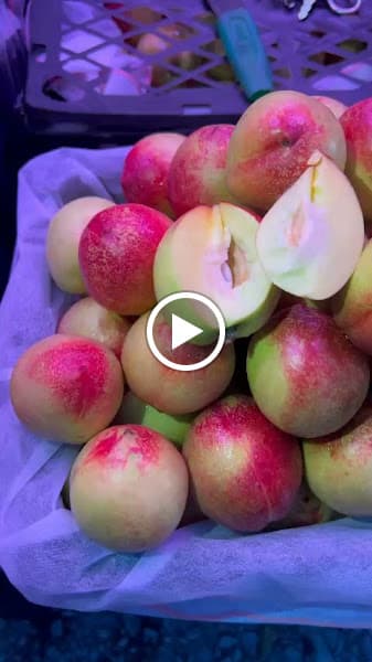 Hình ảnh Trái cây Mộng Lê - Đồng Tháp - 4