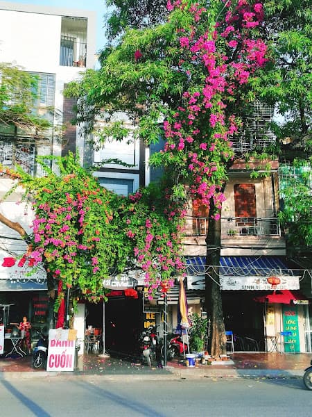 Hình ảnh Phở Bò Thanh Hồng - 3