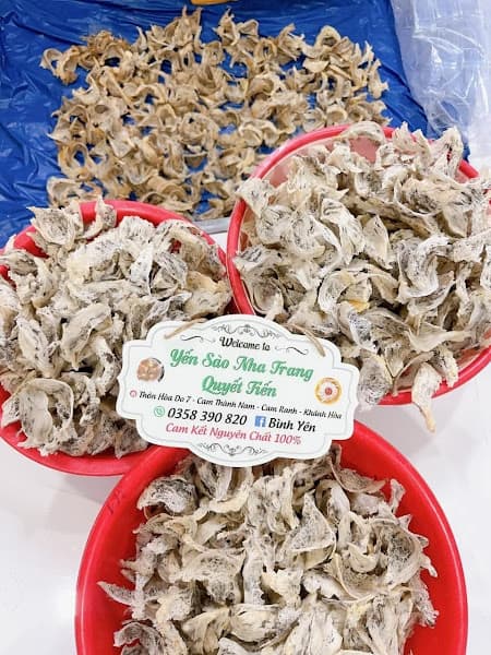 Hình ảnh Yến Sào Quyết Tiến - 4