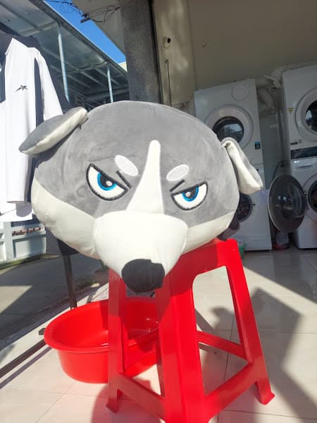 Hình ảnh Giặt Sấy Hằng - 5