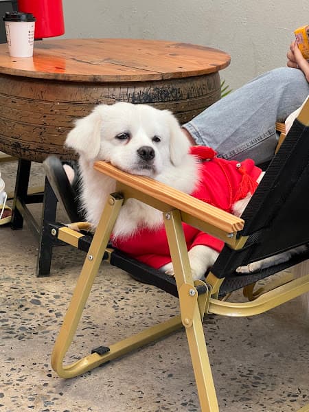 Hình ảnh Him’s Coffee & Tea - 2