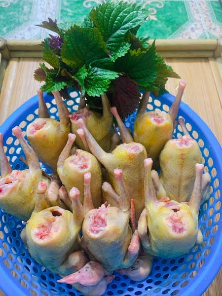 Hình ảnh Cháo Dinh Dưỡng Cao Cấp Mẹ Thỏ - 2