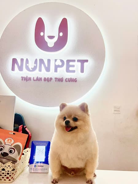 Nun pet - Tiệm làm đẹp thú cưng