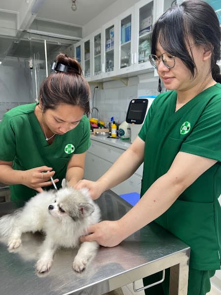 Hình ảnh Phòng Khám Thú Y RED - THÚ Y QUẬN TÂN PHÚ - 2