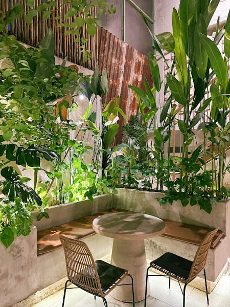 Ảnh bìa Hữu Vui Chay