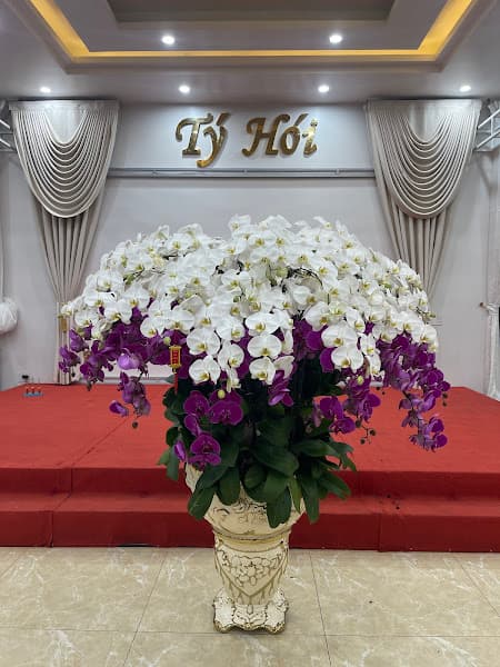 Hình ảnh Nhà Hàng Tý Hói - 2