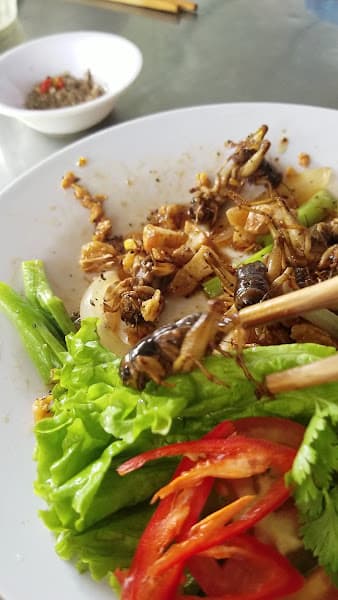 Hình ảnh Quán ăn Cây Mai 2 - 3