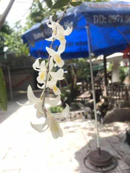 Hình ảnh Cafe Karaoke Sơn - 4