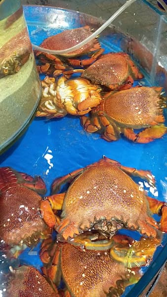 Hình ảnh Hải Sản 24G - 2