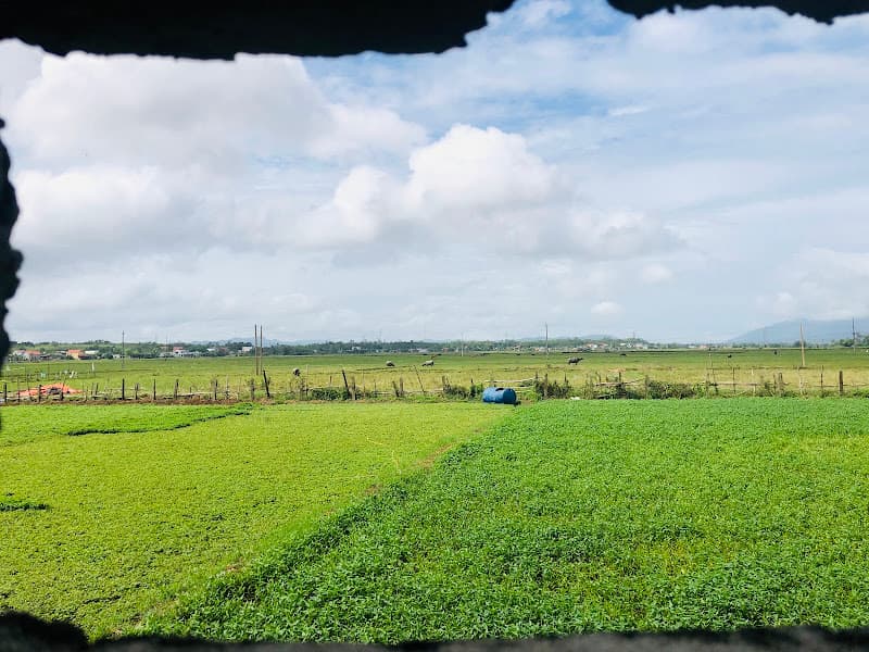 Hình ảnh Quán ăn Lương Thuận - 8