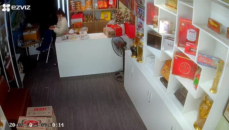 Hình ảnh Nhân Sâm Nấm Linh Chi Đông Trùng Hạ Thảo Hàn Quốc, Yến Sào Nha Trang - NHÂN SÂM GEUMSAN KOREA HÀN QUỐC - 10