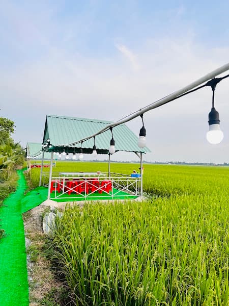 Ảnh bìa sinh thái ĐỒNG QUÊ