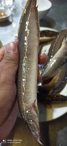 Hình ảnh Quan an Minh Nhut - 3