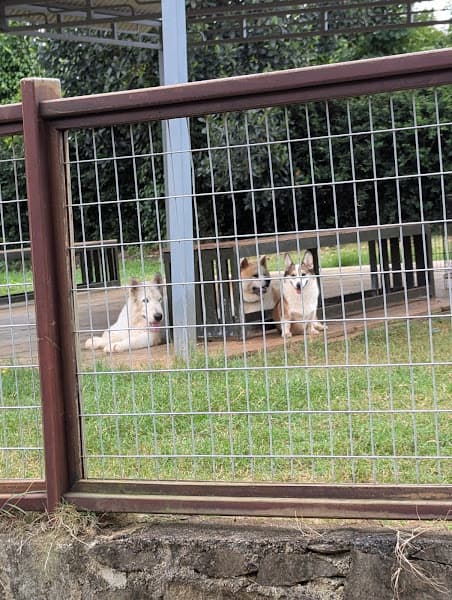 Hình ảnh Laputa Farm - 2
