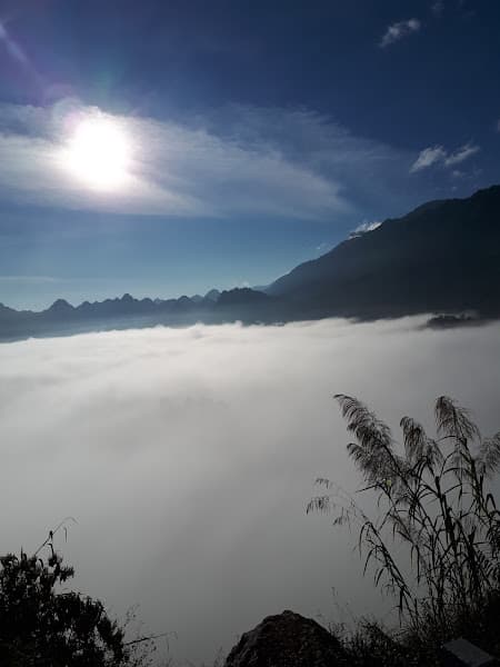 Hình ảnh canhca thai binh - 2